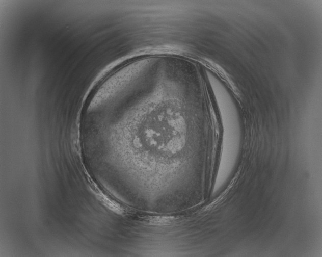 X0000082691184200702161716