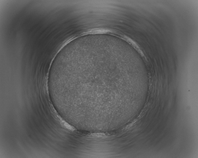 X0000082691186200702161716