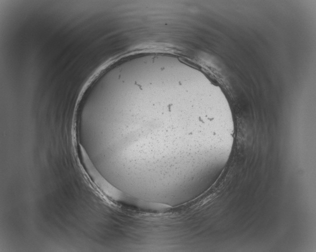 X0000082691188200702161716