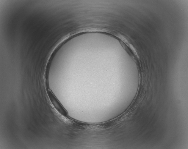 X0000082691189200702161716