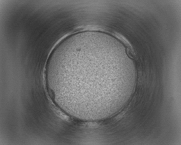 X0000082691190200702161716