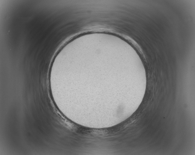 X0000082691191200702161716