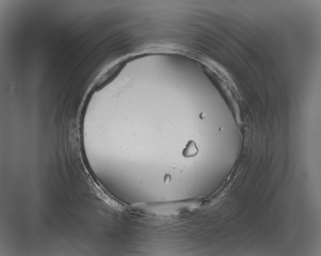 X0000082691192200702161716