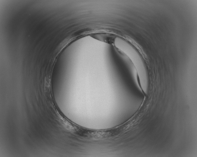 X0000082691193200702161716