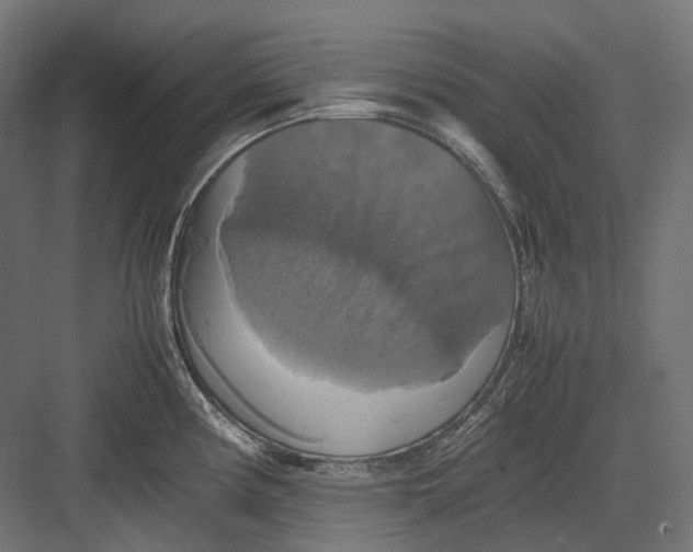 X0000082691194200702161716