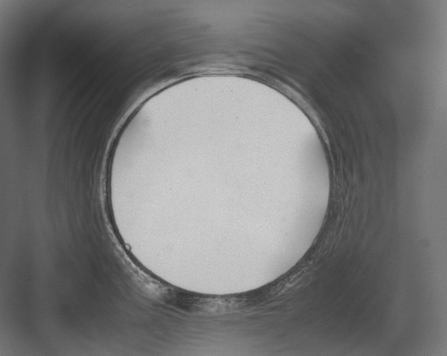 X0000082691195200702161716