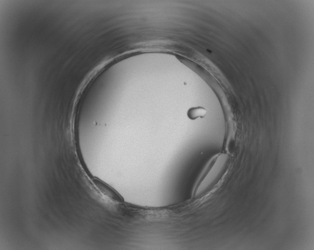 X0000082691196200702161716