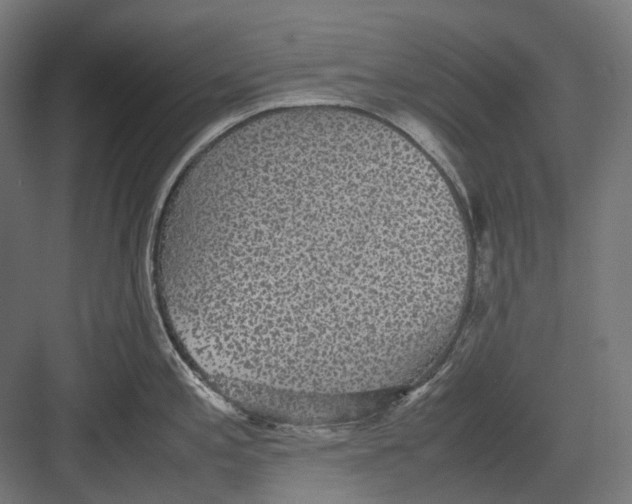 X0000082691197200702161716