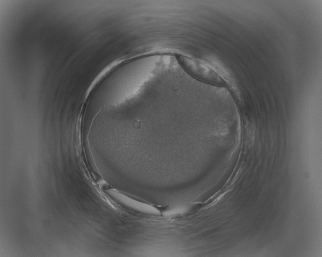 X0000082691198200702161716