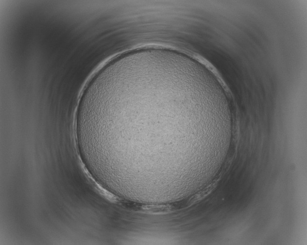 X0000082691199200702161716