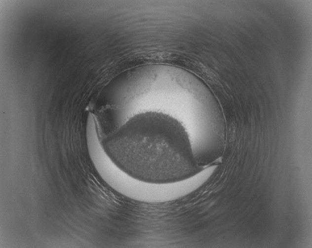 X0000082691202200702161715