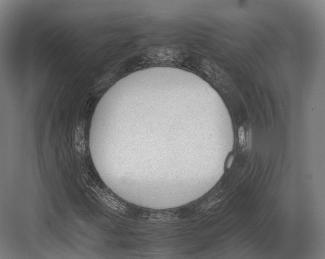 X0000082691203200702161715