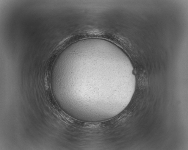 X0000082691205200702161715