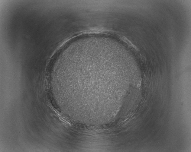 X0000082691208200702161715