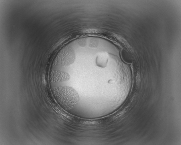 X0000082691209200702161715