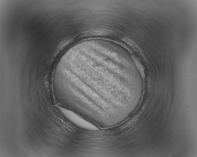 X0000082691210200702161715