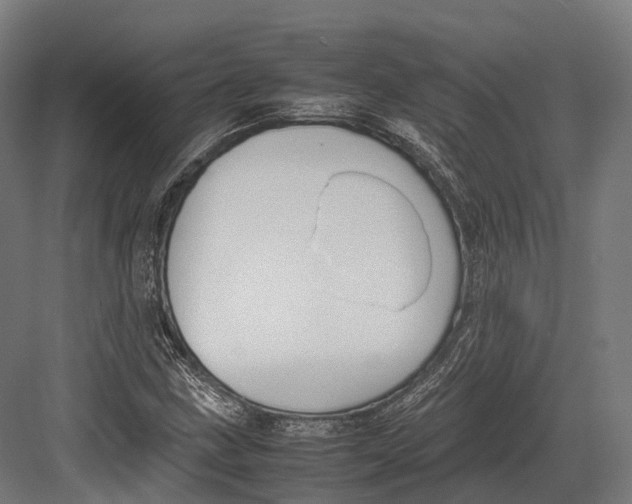 X0000082691211200702161715