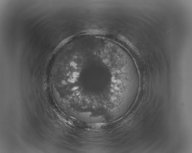 X0000082691213200702161715