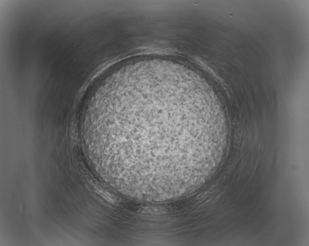 X0000082691215200702161715