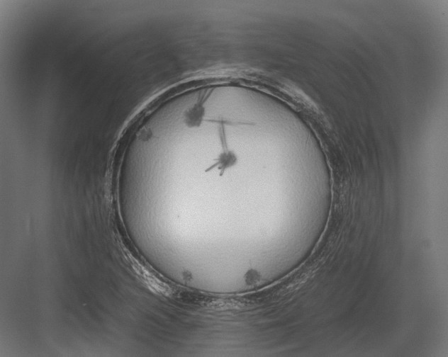 X0000082691216200702161715