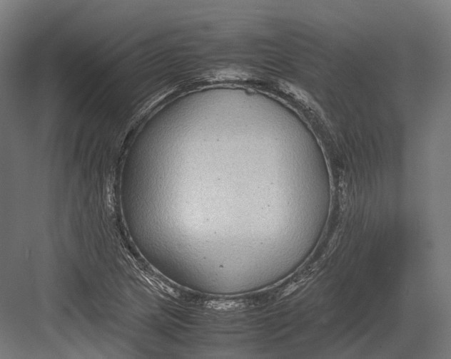 X0000082691217200702161715