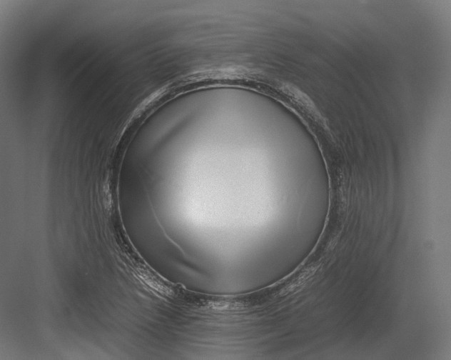 X0000082691218200702161715