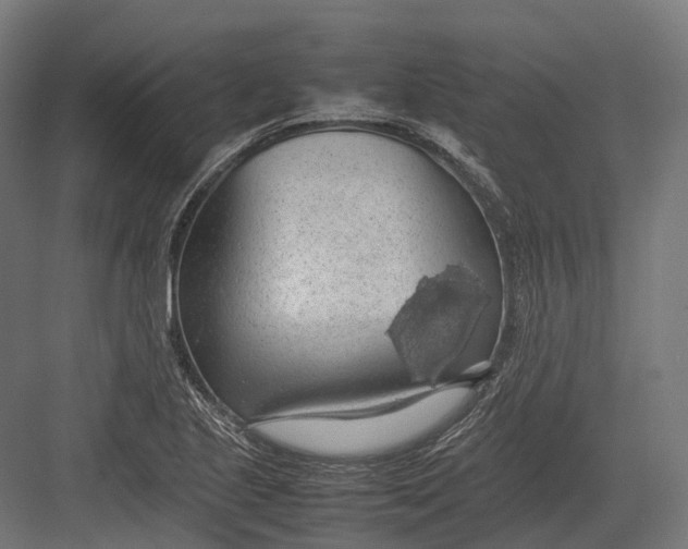 X0000082691221200702161715