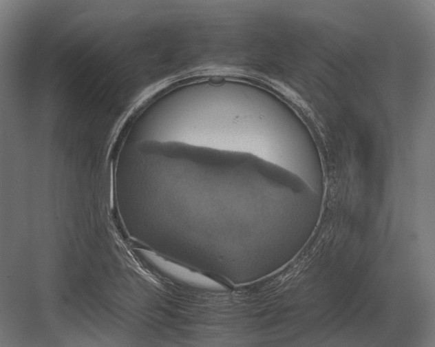 X0000082691223200702161715