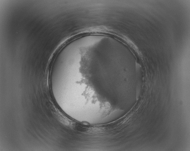 X0000082691224200702161715