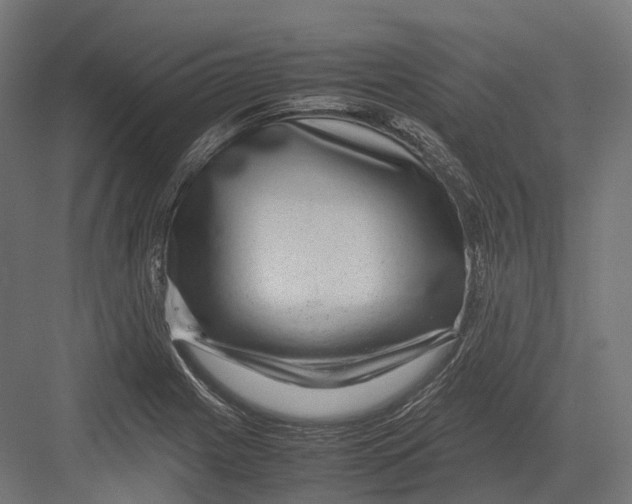 X0000082691225200702161715