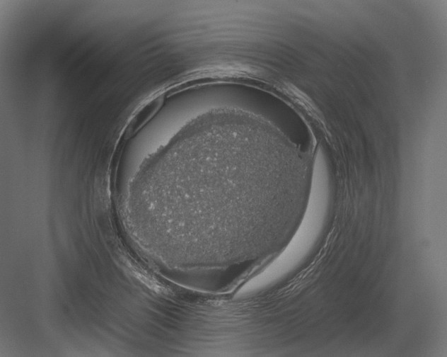 X0000082691226200702161715