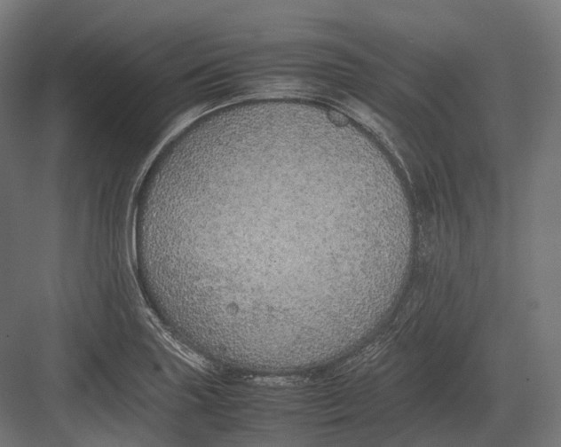 X0000082691227200702161715