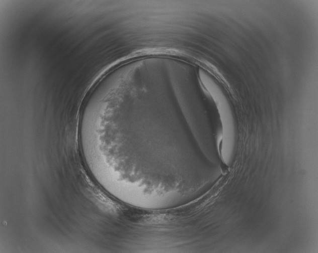 X0000082691228200702161715