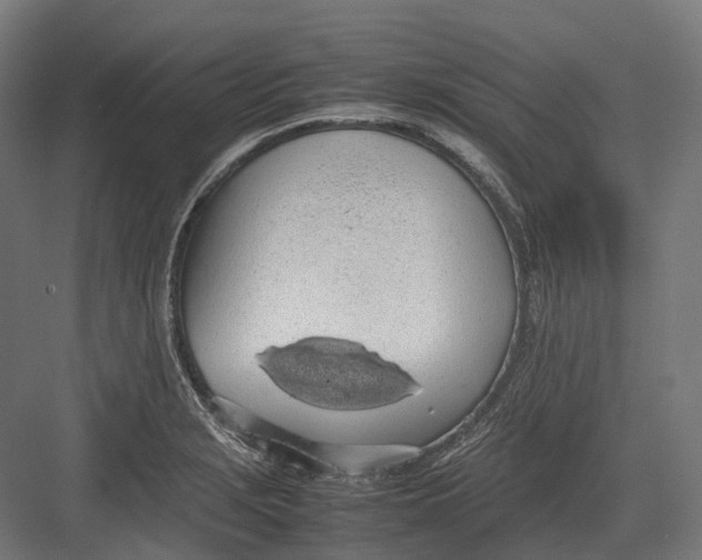 X0000082691229200702161715