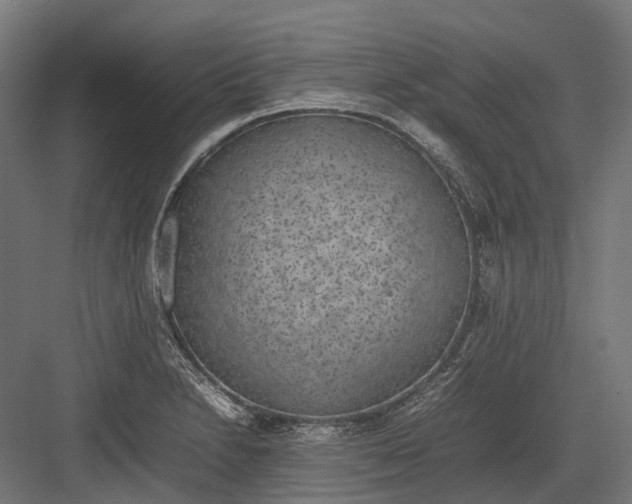 X0000082691230200702161715