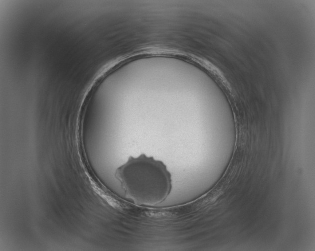 X0000082691231200702161715