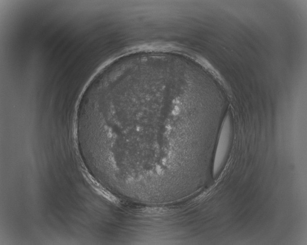 X0000082691232200702161716