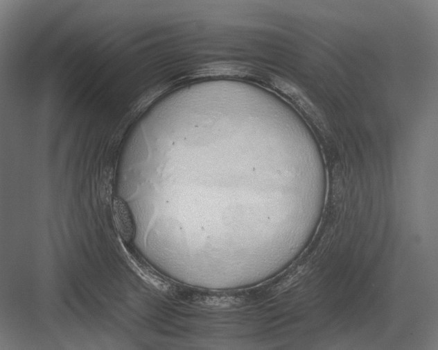 X0000082691233200702161716