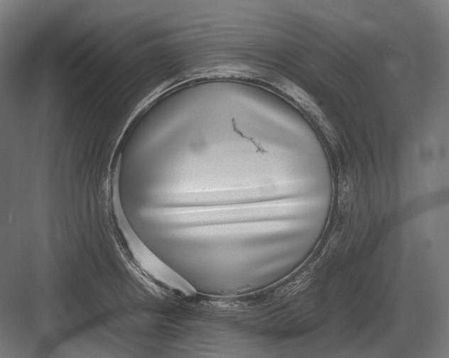 X0000082691234200702161716