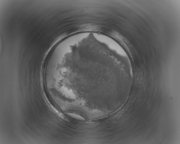 X0000082691235200702161716