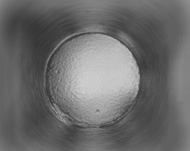 X0000082691236200702161716