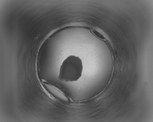 X0000082691237200702161716