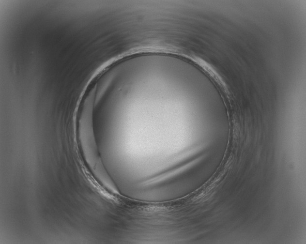 X0000082691238200702161716