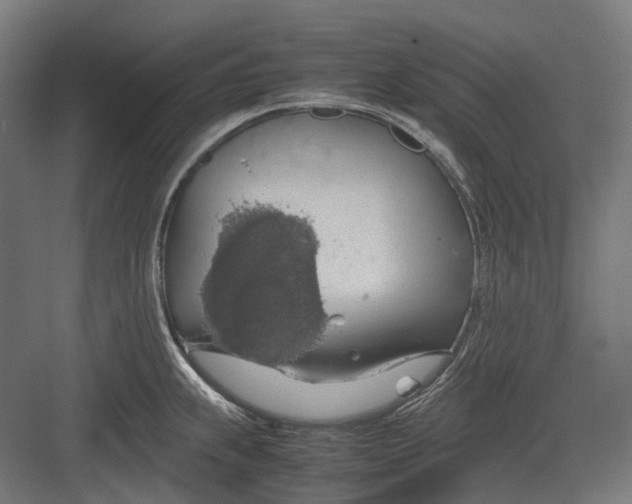 X0000082691239200702161716