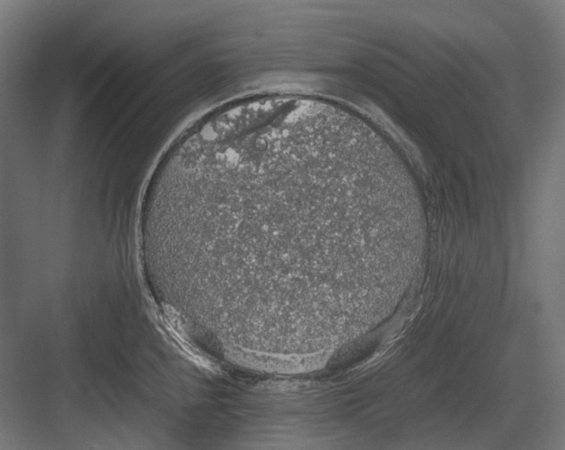 X0000082691240200702161716