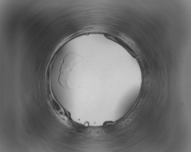 X0000082691242200702161716