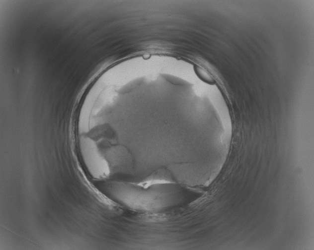 X0000082691243200702161716