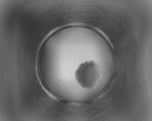 X0000082691245200702161716