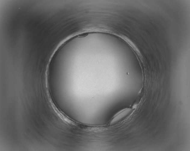 X0000082691246200702161716