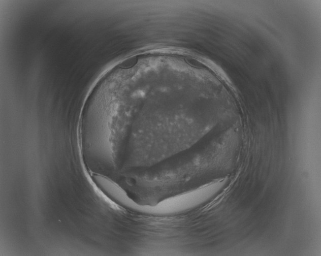 X0000082691247200702161716